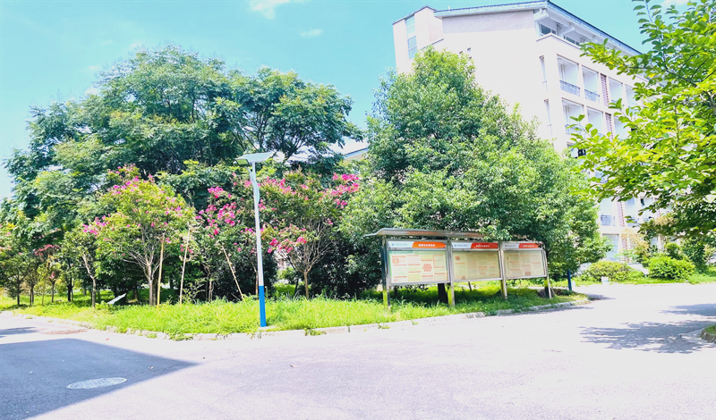 青川县教育提质工程:青川一中的发展与创新