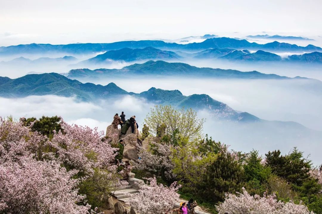 别眨眼!这60张图是你来泰山的理由