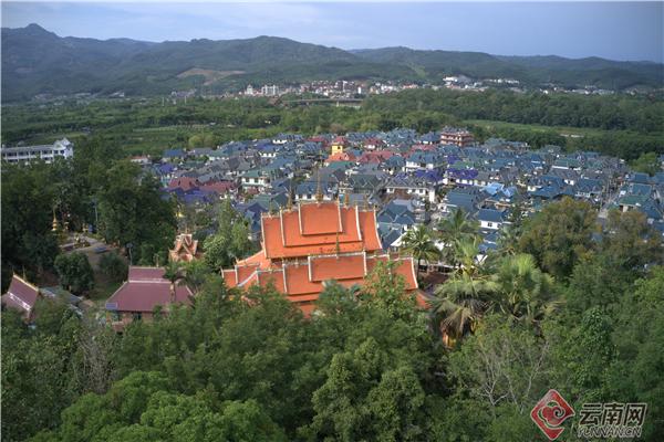 「绿水青山小康路」视频丨勐仑镇城子村争做村振兴排头兵