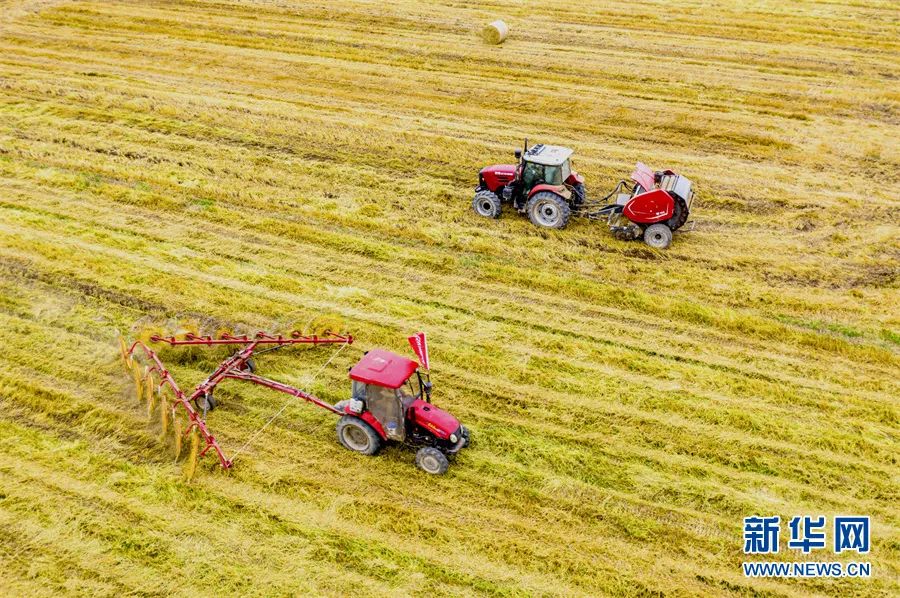 辛贤:加快从农业大国向农业强国迈进