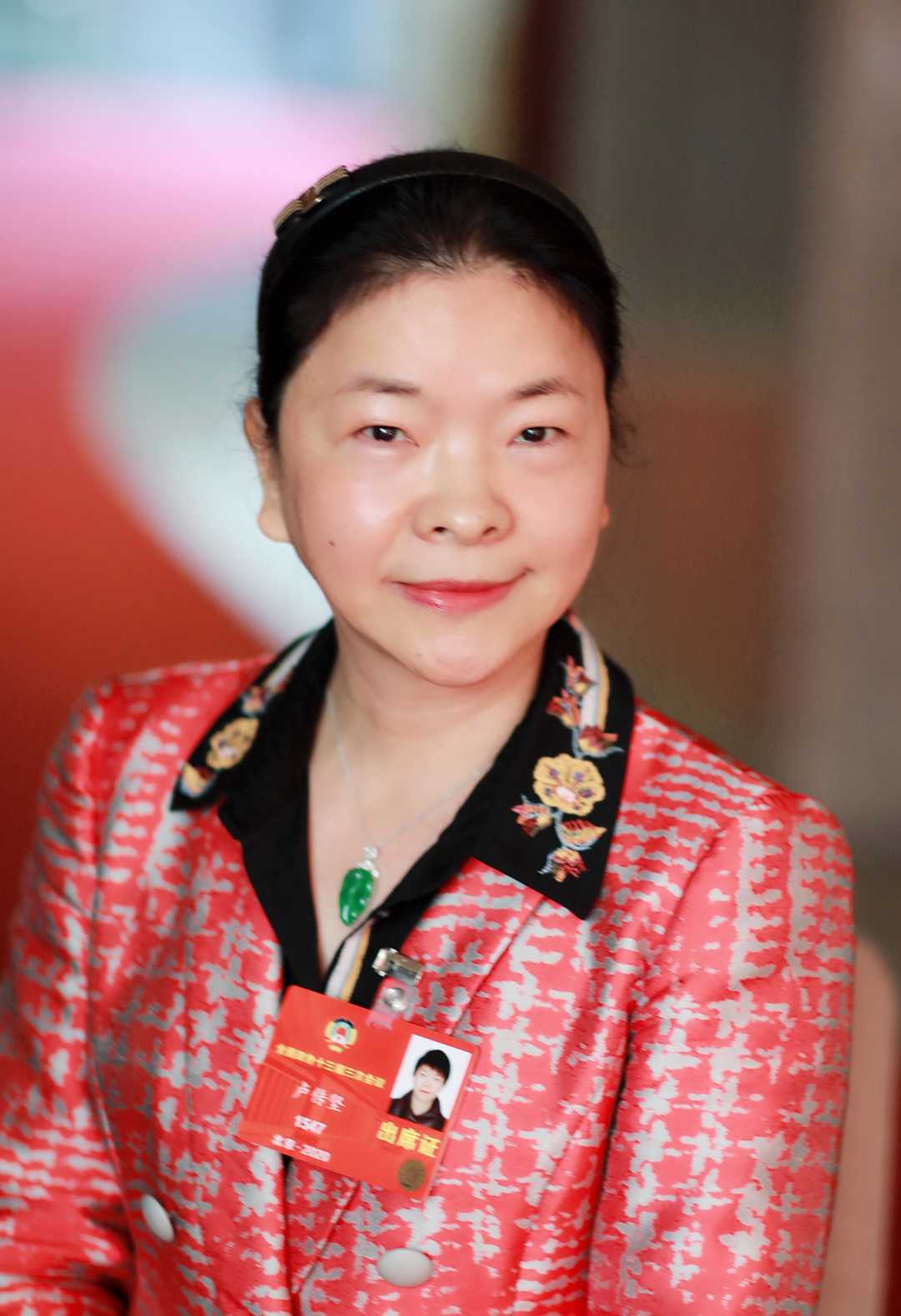 卢传坚委员:优化中医药发展环境