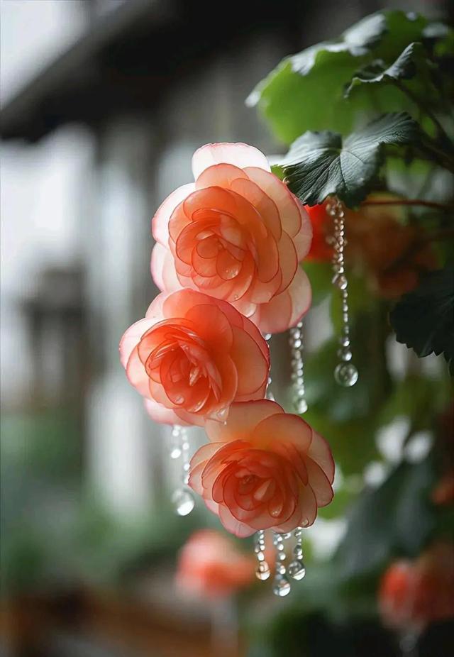 唯美图片〡唯美治愈,一束花的仪式感,永远不会过时