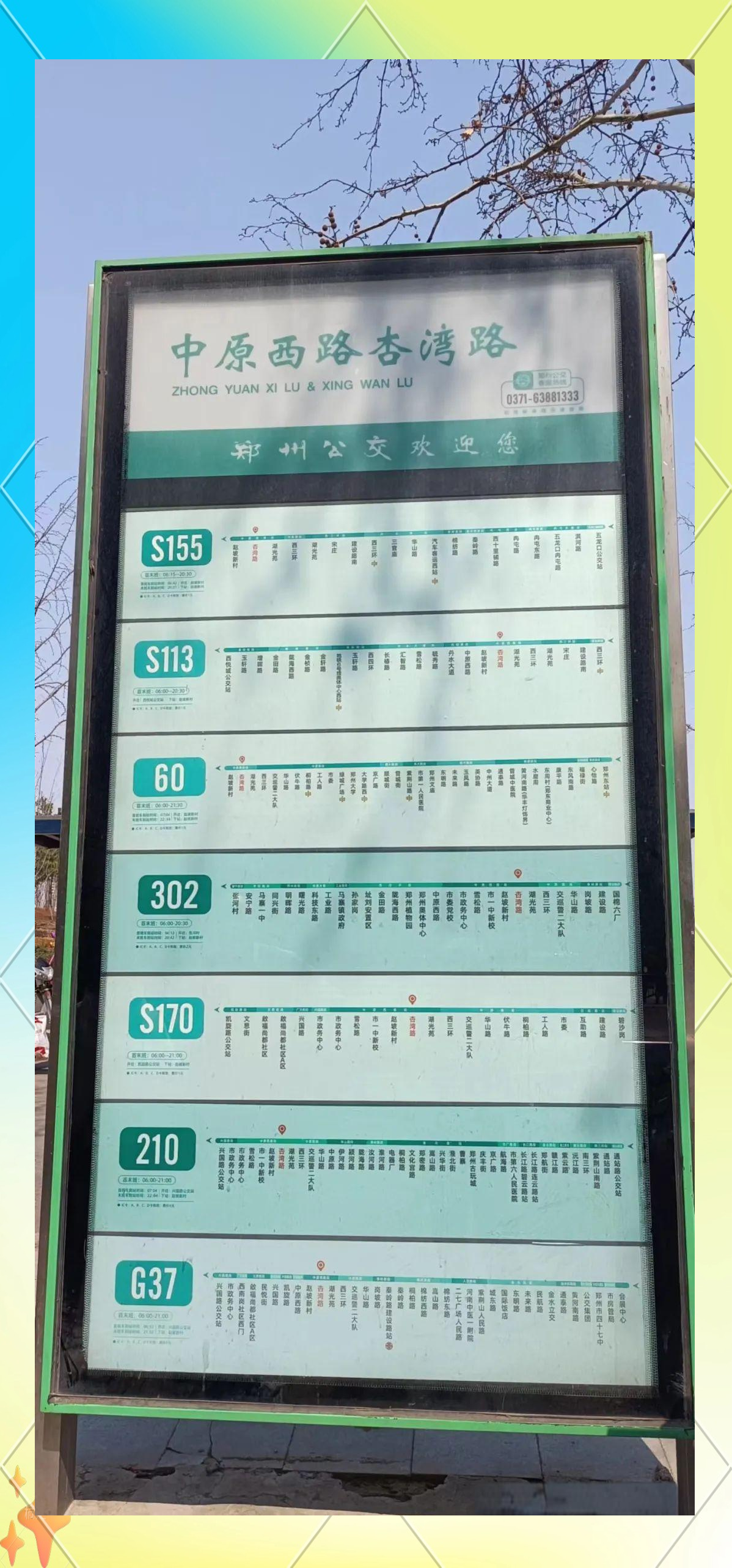 探访郑州西流湖公园的盛开梅花