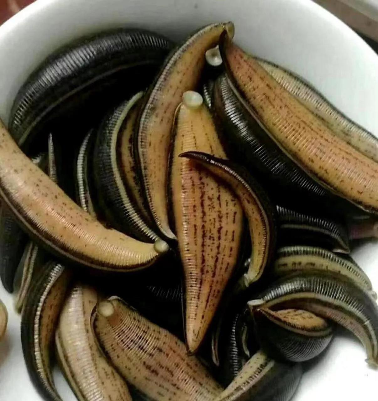 声明:本人只提供参考并不构成任何投资