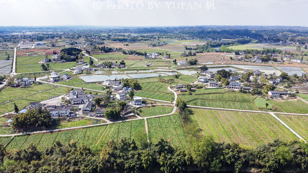 路过重庆潼南的柏梓镇,建有中国柠檬之都最大基地,看看城建如何