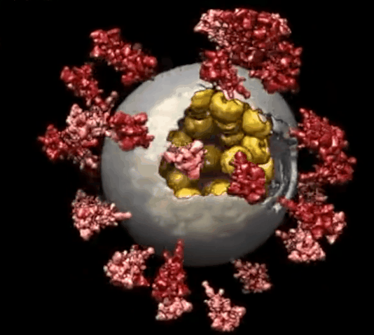  全世界最新疫情实时动态图片大全(全球疫情最新实时动态地图)