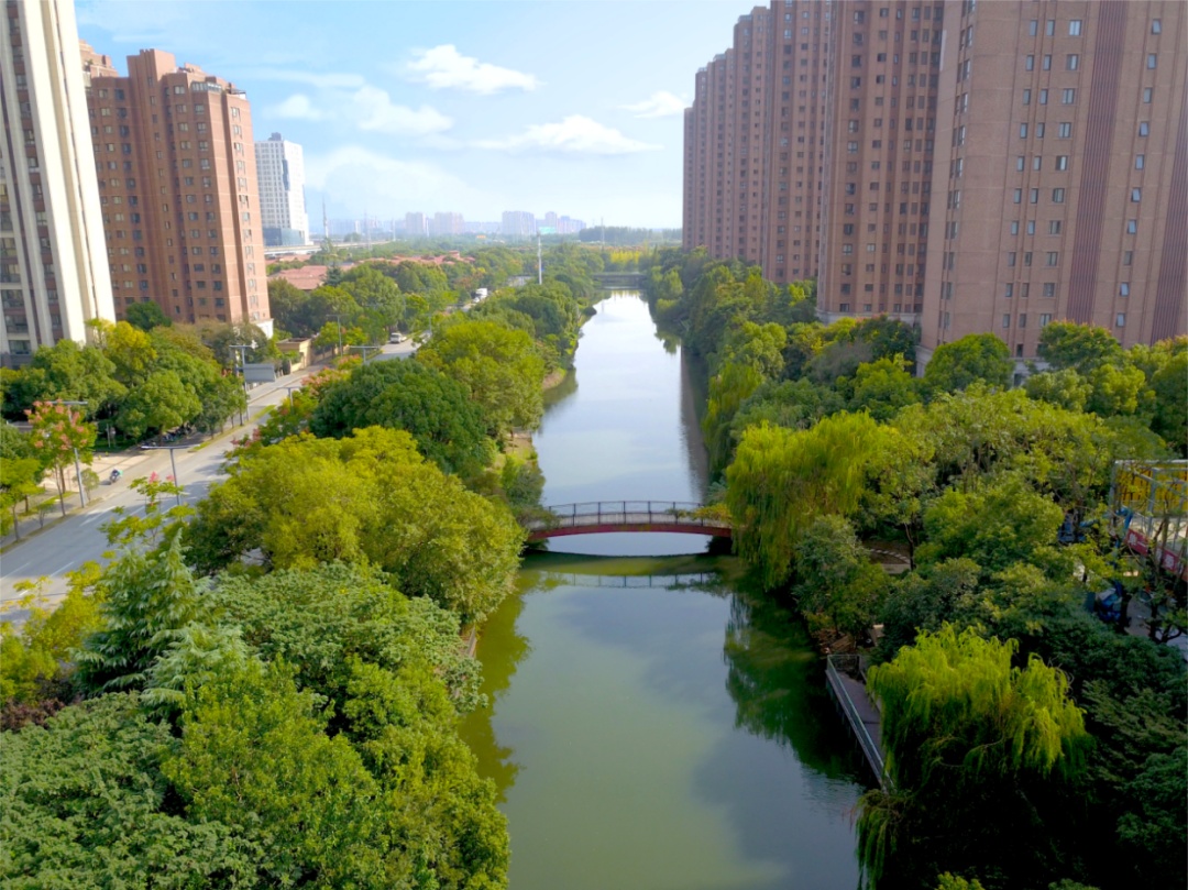 嘉定:碧波荡漾照岸景,河畔清风舒心灵——安泾