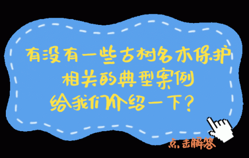 文明游園 您聽我說-有駕