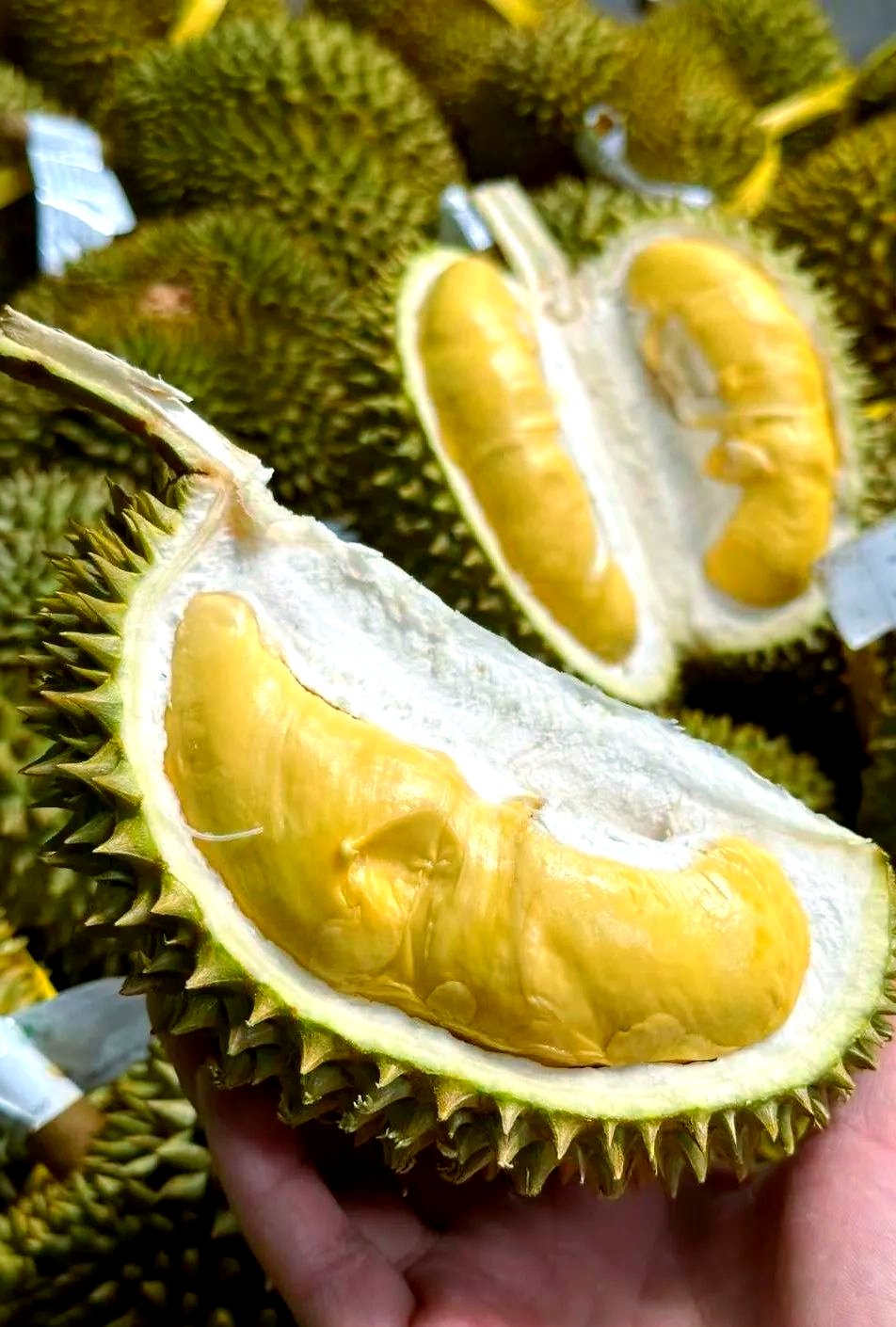 泰国甲仑榴莲:香气浓郁,口感超赞!