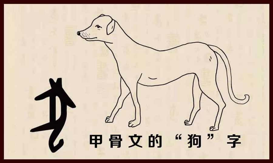 狗的汉字演变图片