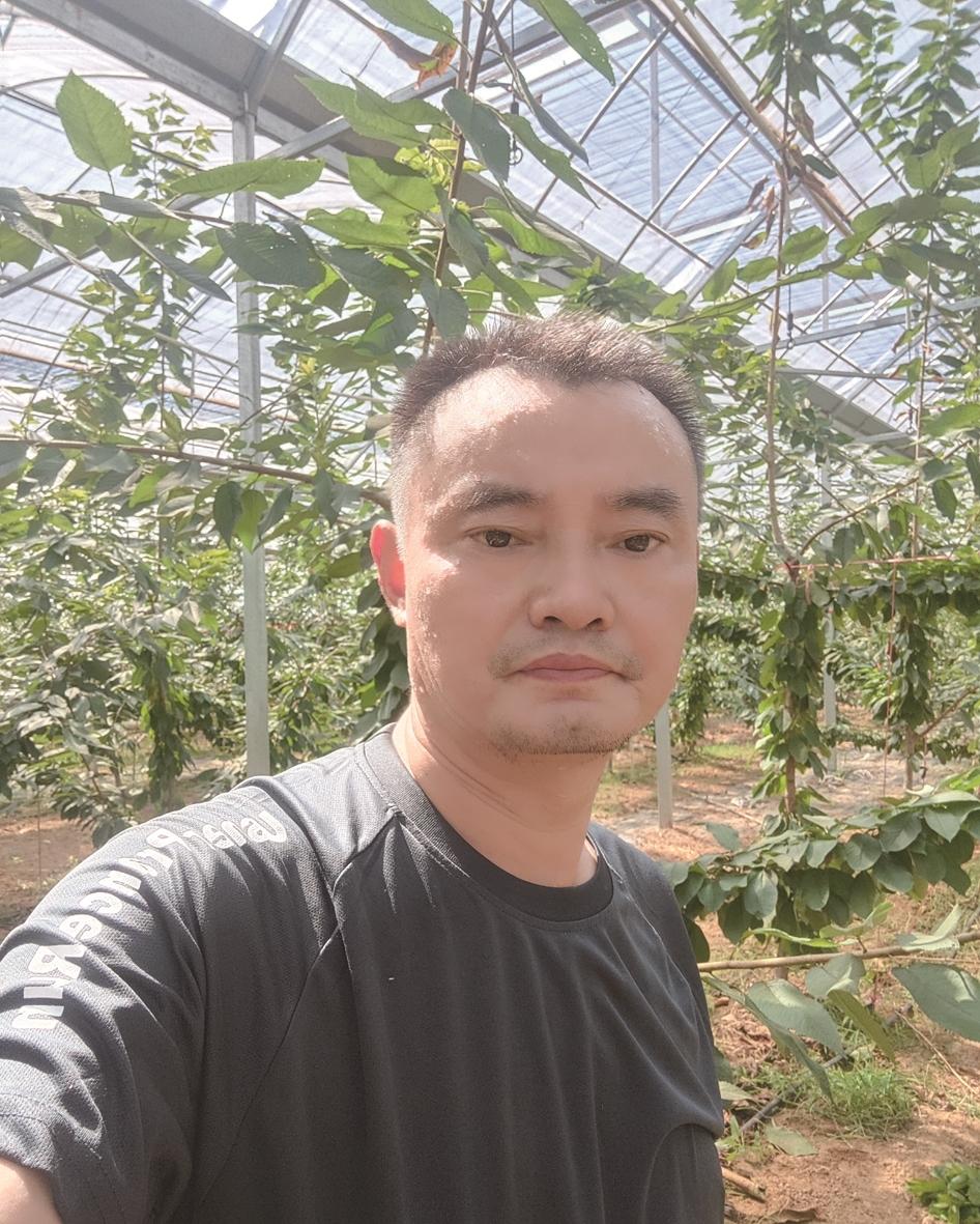 陶建辉:"年轻"农场主育出"优质果"