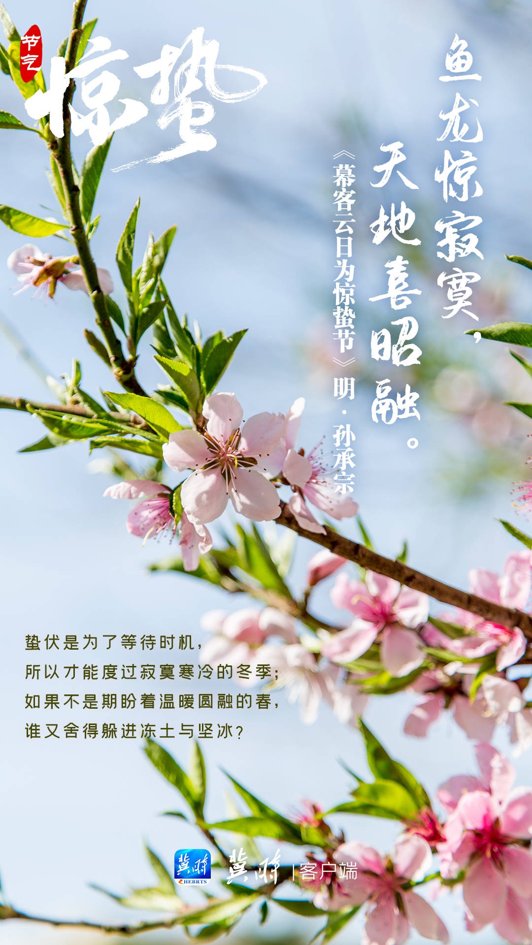 才发现惊蛰与桃花的适配度这么高 baijiahao.baidu.com