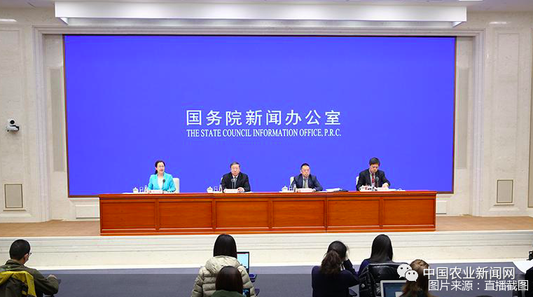 保险新闻头条最新消息2021(保险新闻头条最新消息2021版)