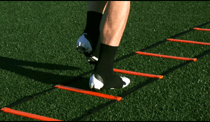 敏捷梯训练12个动作