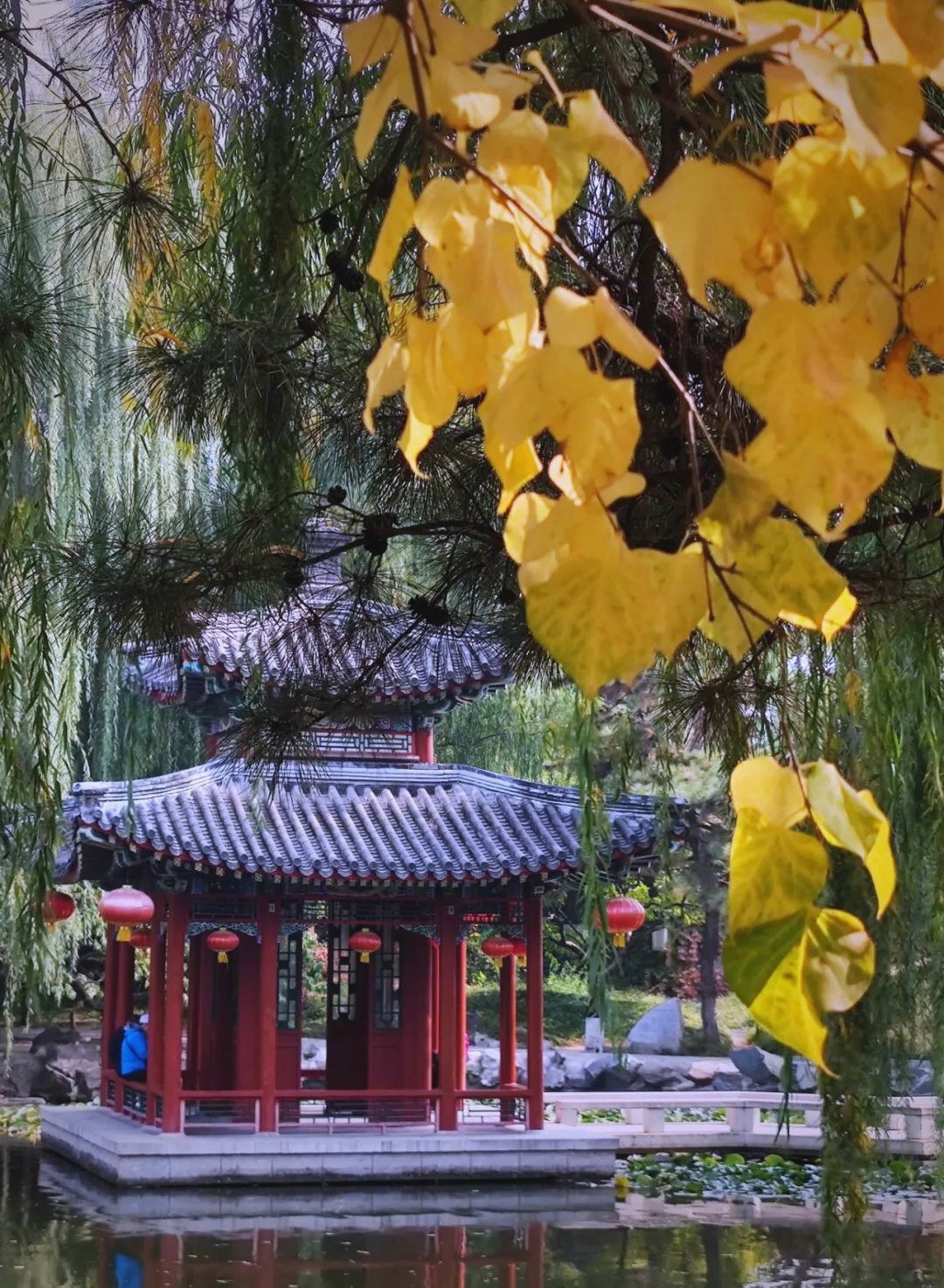 北京大观园的秋色:古典园林与自然的交融