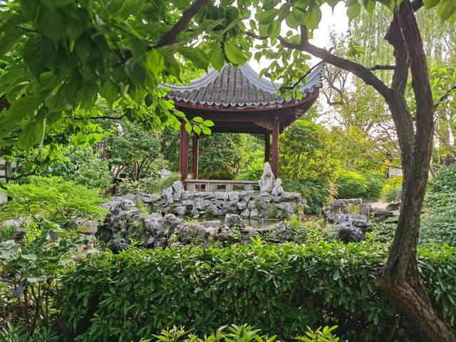 上海闵行古藤园一游