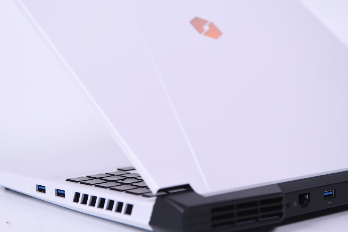 机械革命晒新款蛟龙 16 pro 游戏本外观:黑白熊猫配色