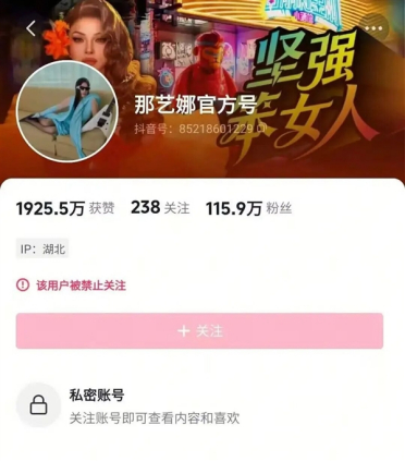 劣迹艺人那艺娜被曝在国外开设账号 其国内部分账号已被封禁