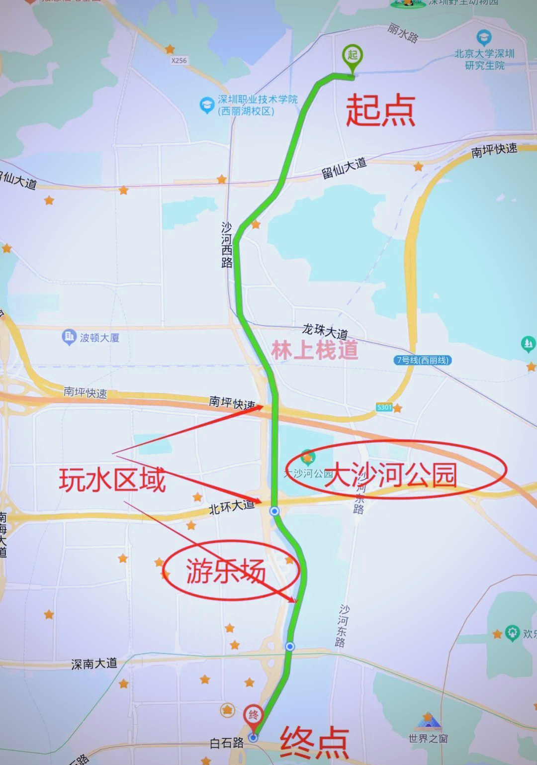 深圳大沙河生态长廊骑行攻略:探索与休闲的完美结合