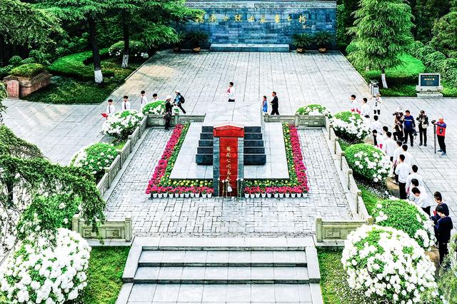 七一视角|重温党史,砥砺新征程|杨毅专栏