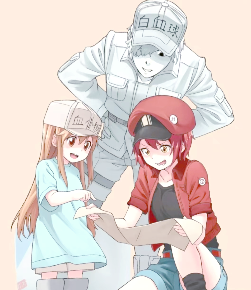 红细胞:从动画到医学的守护者