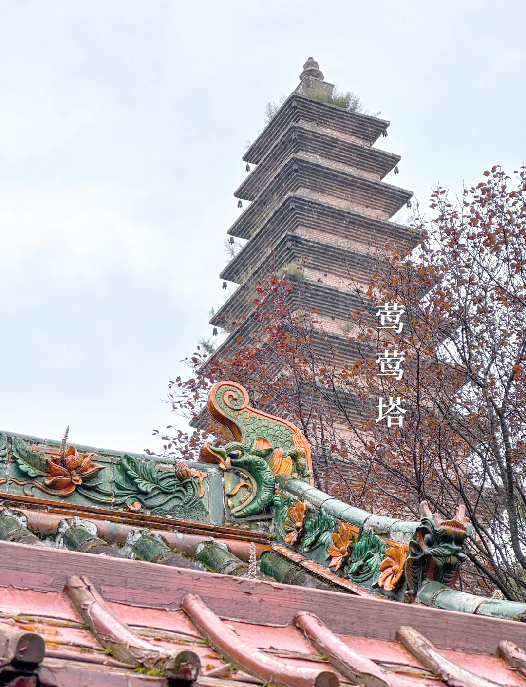 七夕佳节,探访山西普救寺的浪漫情缘