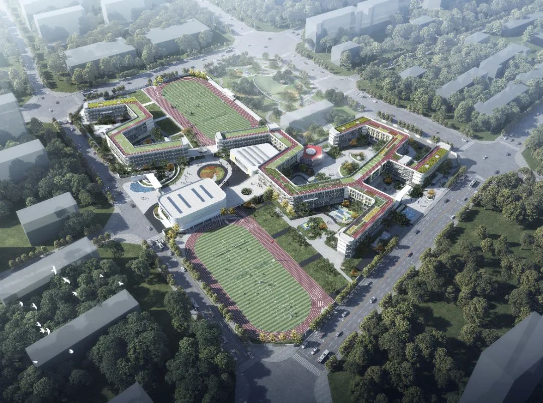 计划明年投用!事关金华四中,环城小学"新校区"| 新闻汇