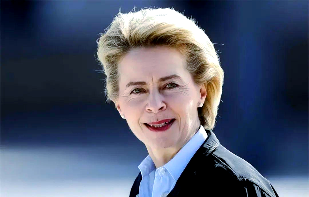 在随后的2005年德国大选中,冯德莱恩成为默克尔