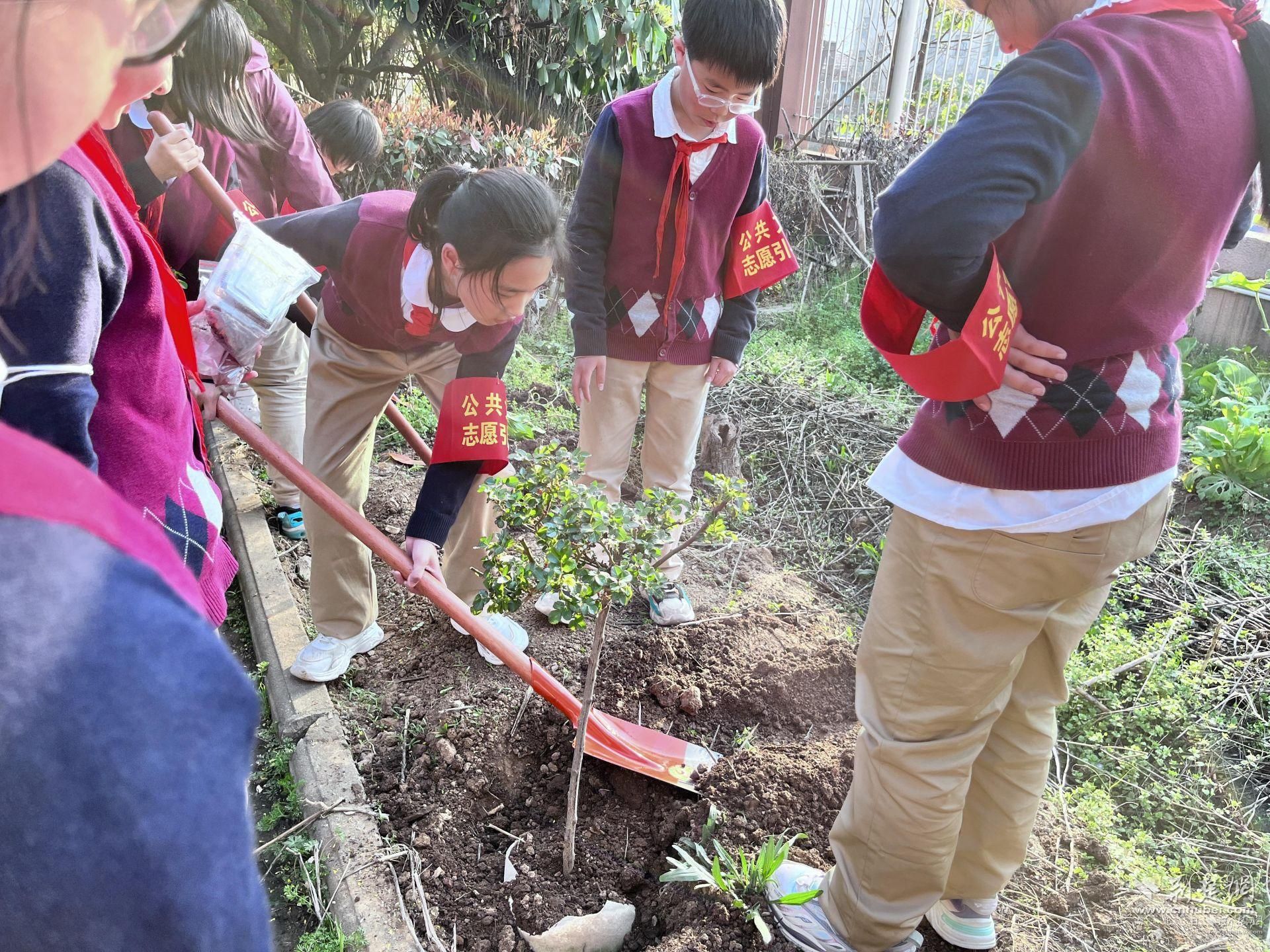 趣种廉洁树 沌口小学开展植树节实践课程