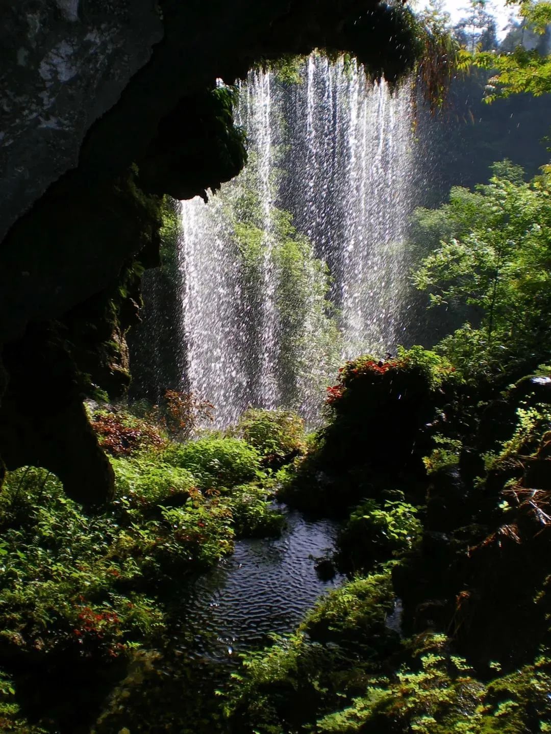 告诉李白这个三月不用下扬州了我在镇远古城等他