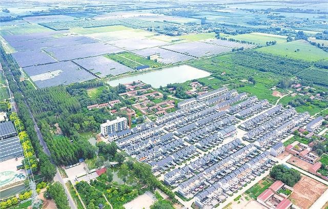 河北衡水枣强县八里庄村积极调整农业结构