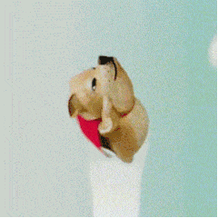 考完雅思机考他们都直呼"真香"?难道机考真的更容易?