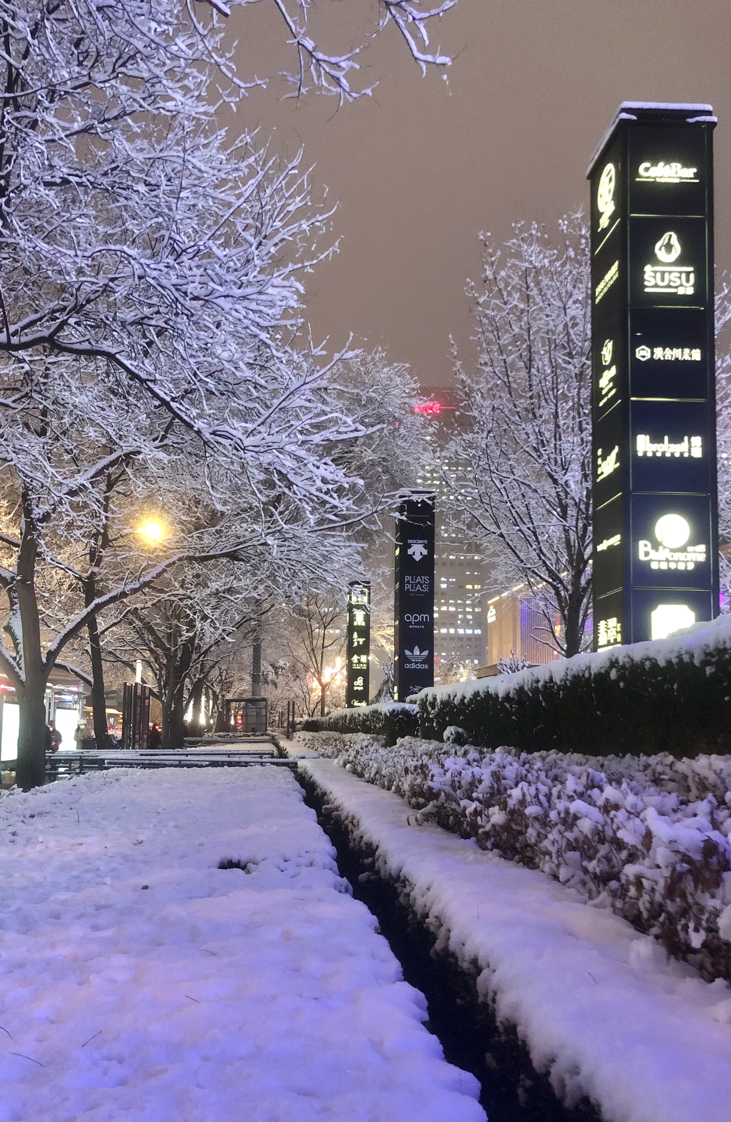 城市小区雪景图片