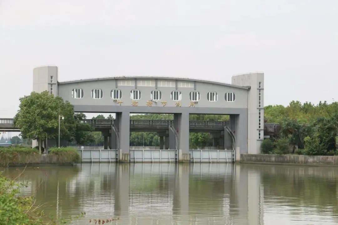 水韵61节气|暑盛至极 顺颂夏祺
