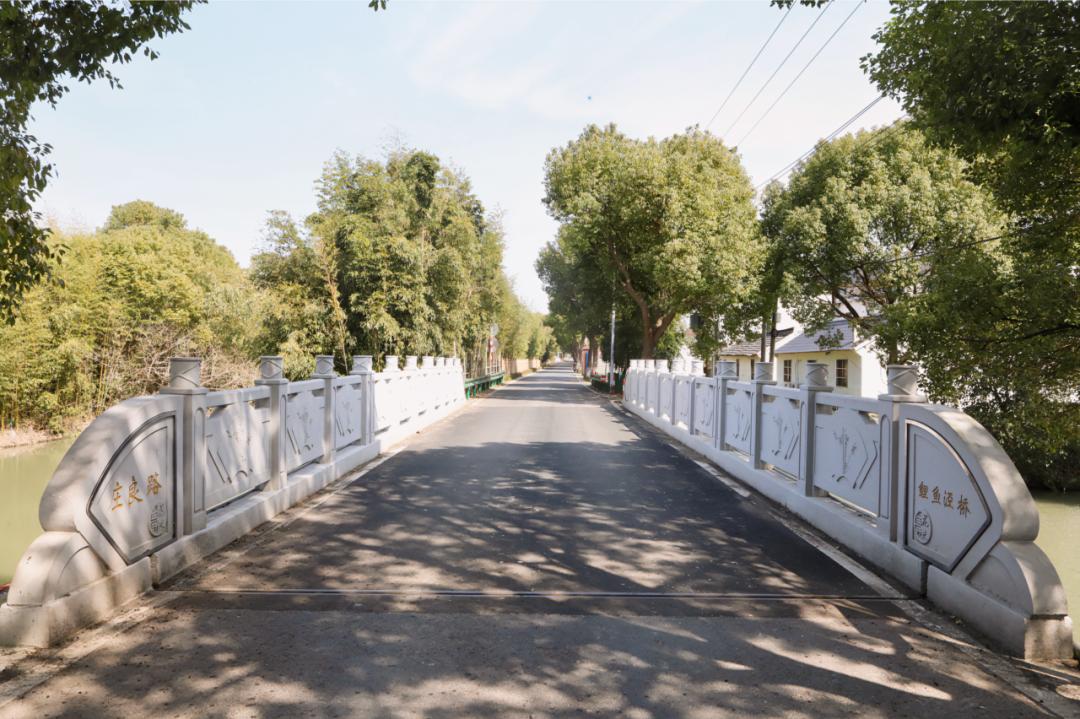 悠然漫步,走在乡间,一起走进这条市级示范路