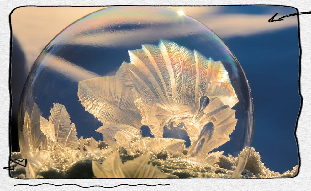 冰雪中的泡沫世界,展现大自然独特的魔法之美