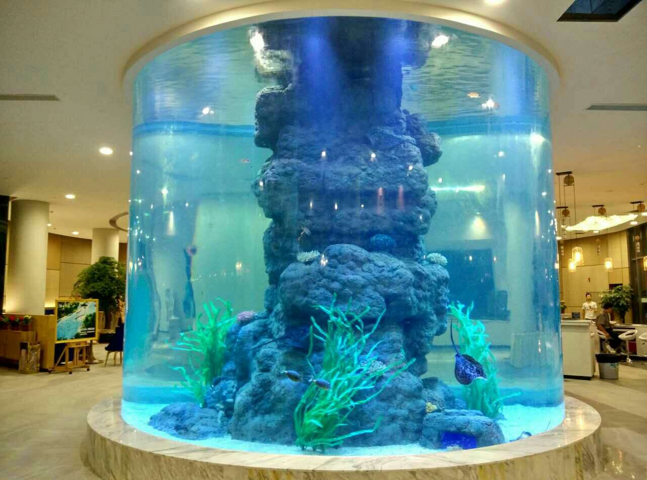 水族工程设计与建设的关键要素