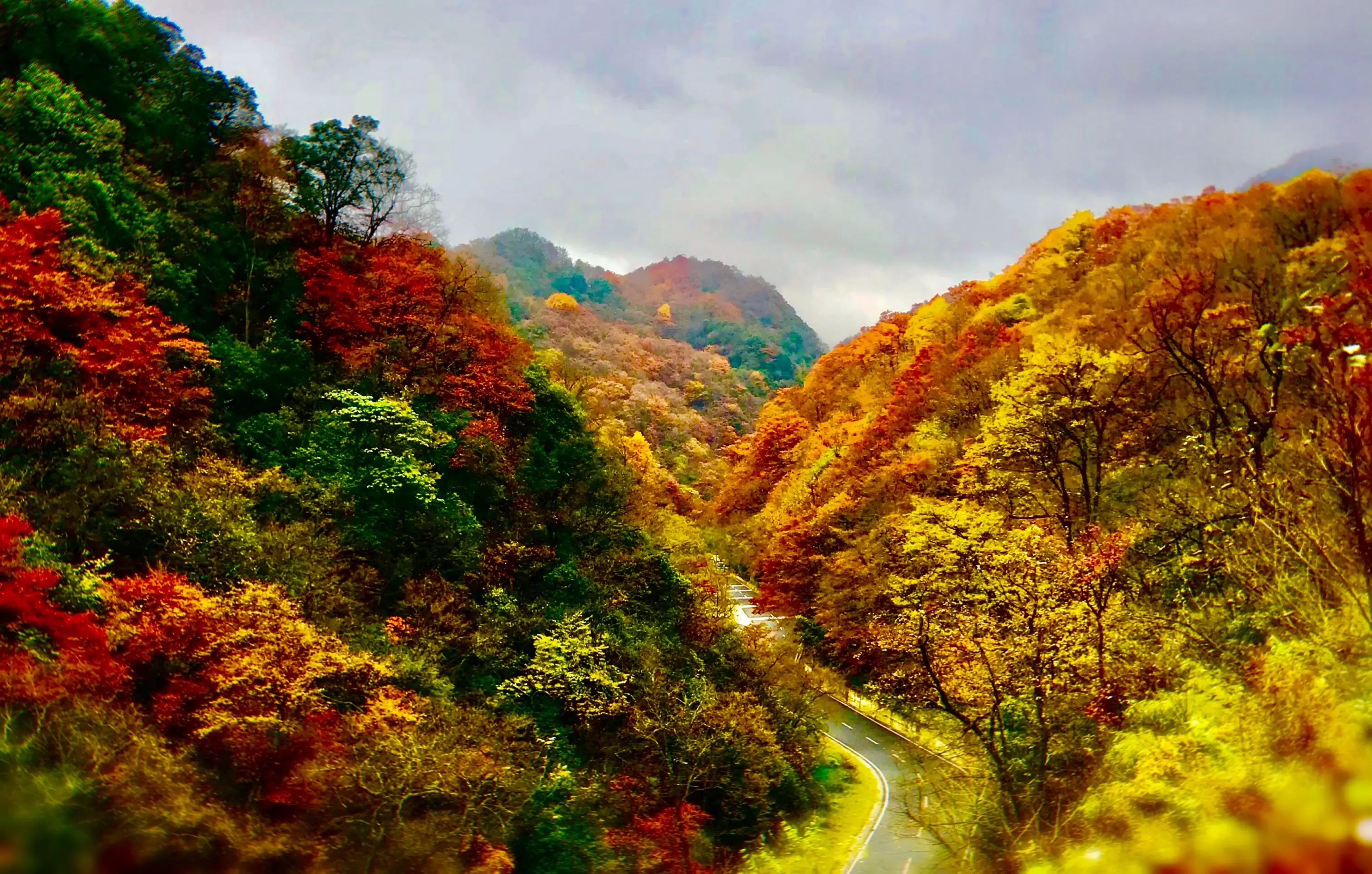 11月最美赏秋胜地:行走在浓烈的秋思画意中,栖霞山光雾山都不错