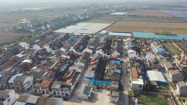 仙桃市杨林尾镇白字村:干群一心共同缔造 绘就美丽幸福乡村