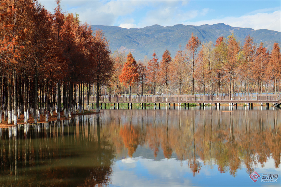 洱源茈碧湖风景名胜区图片