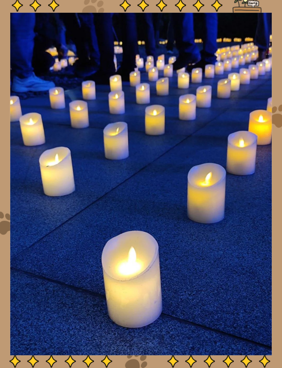 国家公祭日:南京大屠杀烛光祭,祈愿和平