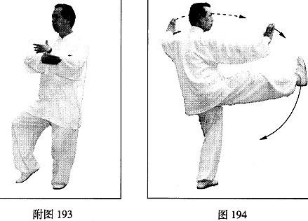 道家太极拳39式视频教学(道家太极拳39式视频教学分解)