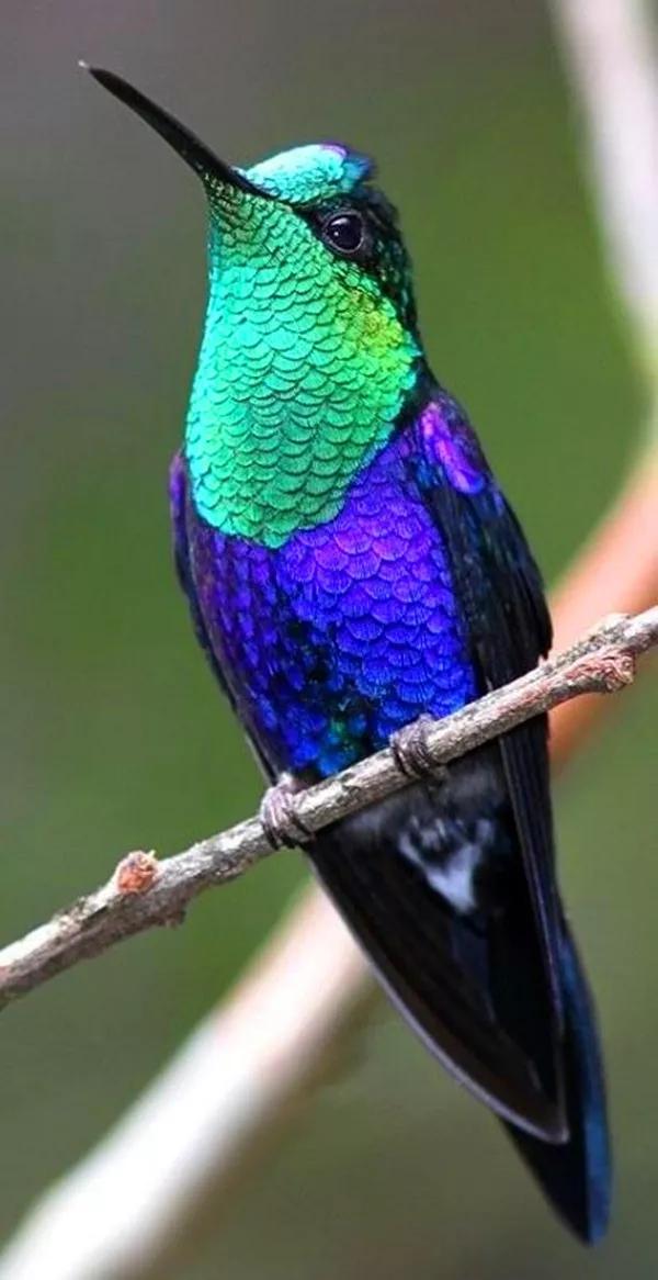 600_1166竖版 竖屏