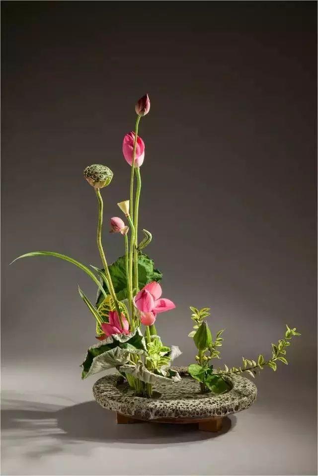 诗情画意 61 中式插花艺术