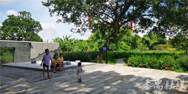 古榕树,河涌,鱼塘,绿地构成番禺这个乡村公园的夏日靓景