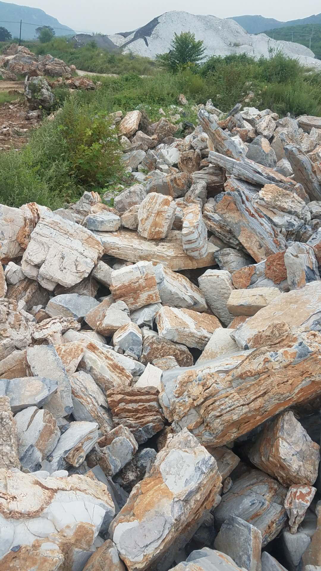 山东济南假山石 天津斧劈石价格 河北千层石现货 北京千层石产地