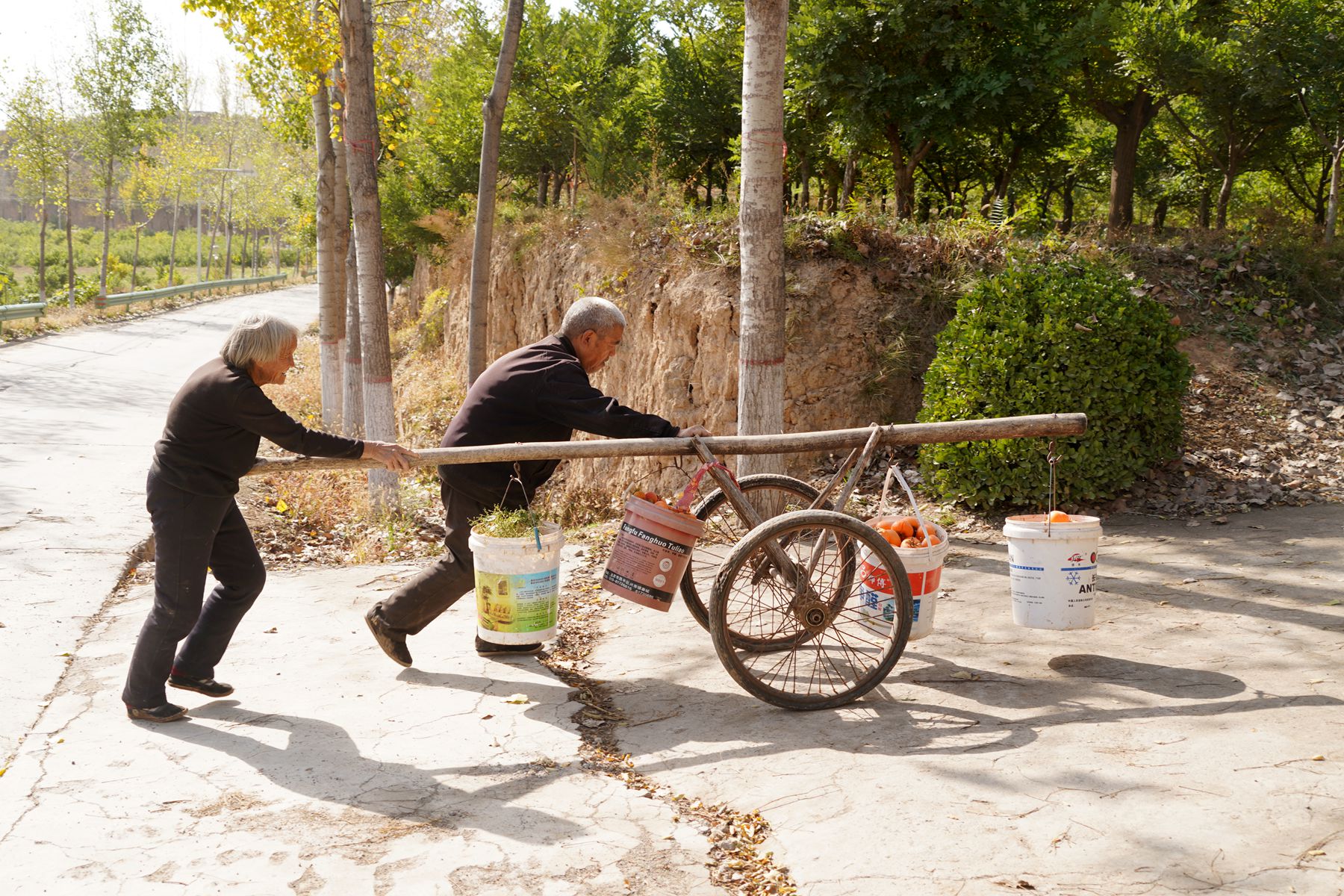 运输车 - 热门商品专区