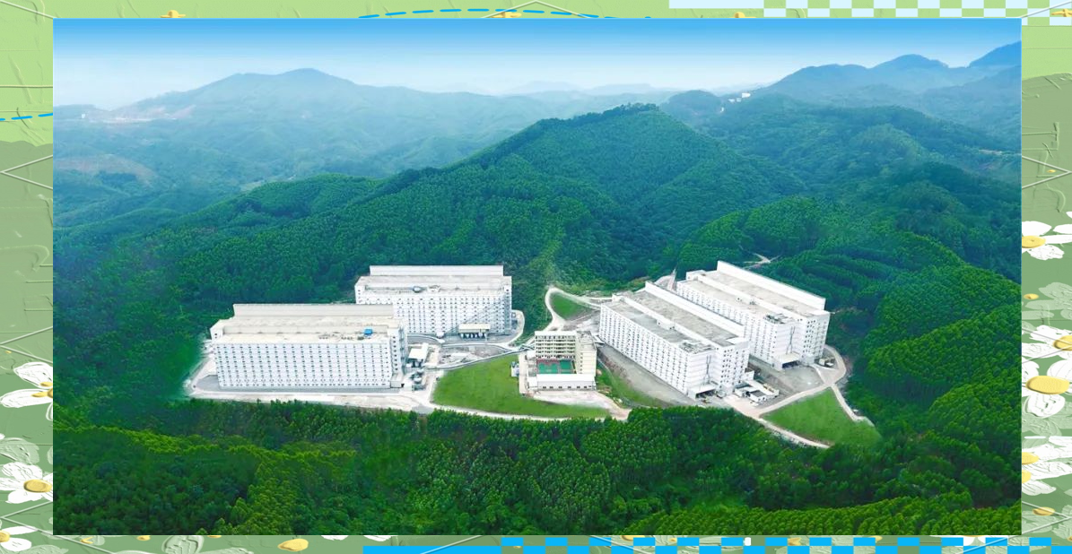 智能设施楼房猪场,打造云端养猪新模式