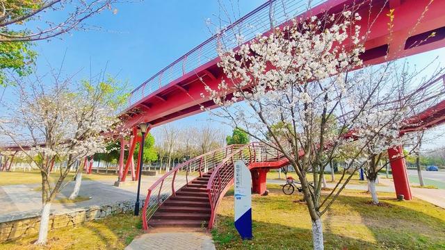 武汉临空一辰集团公司竭力做好空港新城香虹艺术公园管理维护工作