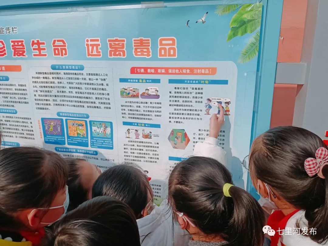 王家堡小学:守护童年 构筑绿色无毒坚实屏障